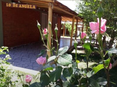 LO DE ANGELA