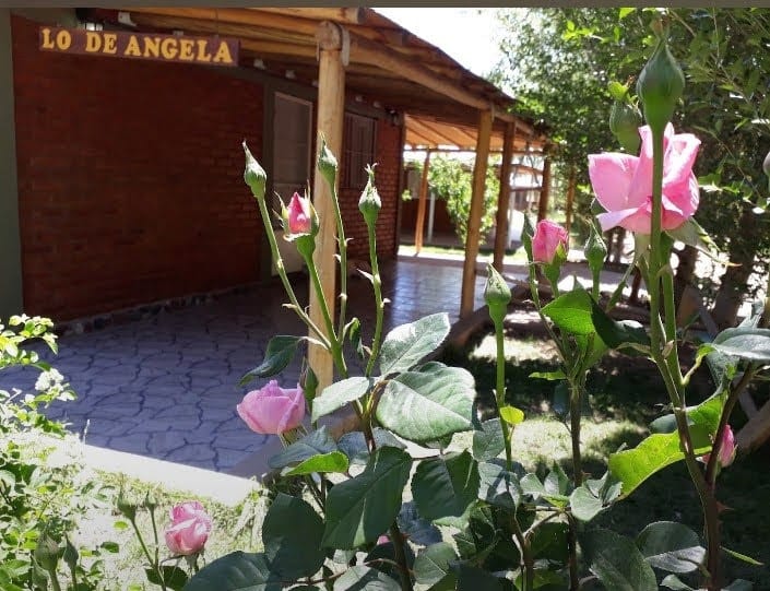 LO DE ANGELA