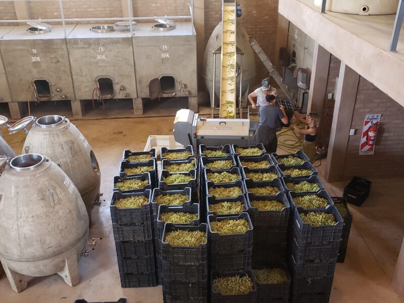 Bodega Los Dragones