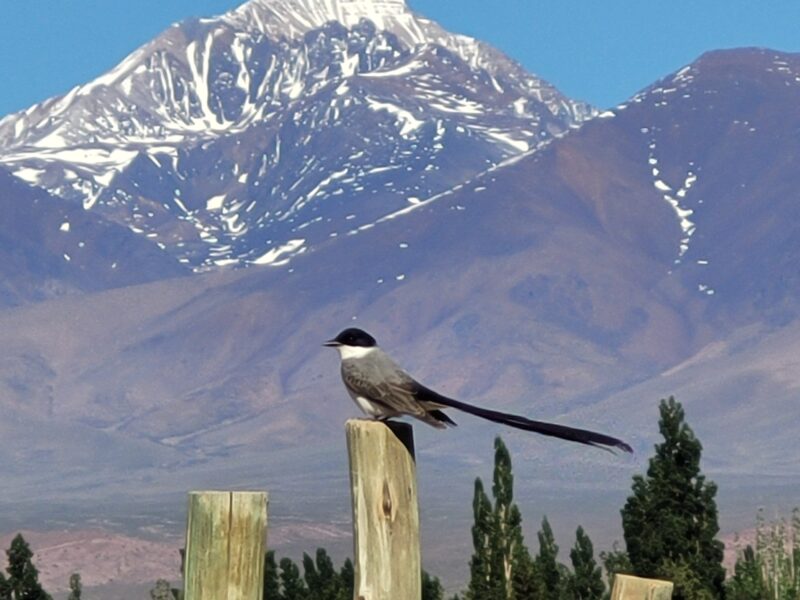 Bodega Los Dragones