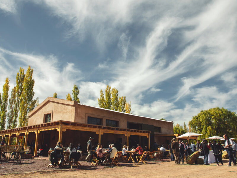 CARA SUR Bodega & Viñedos