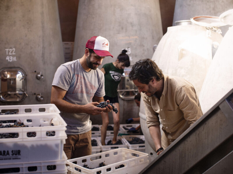 CARA SUR Bodega & Viñedos