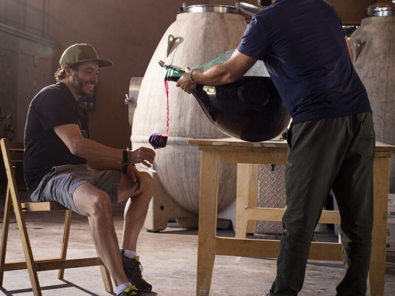 CARA SUR Bodega & Viñedos